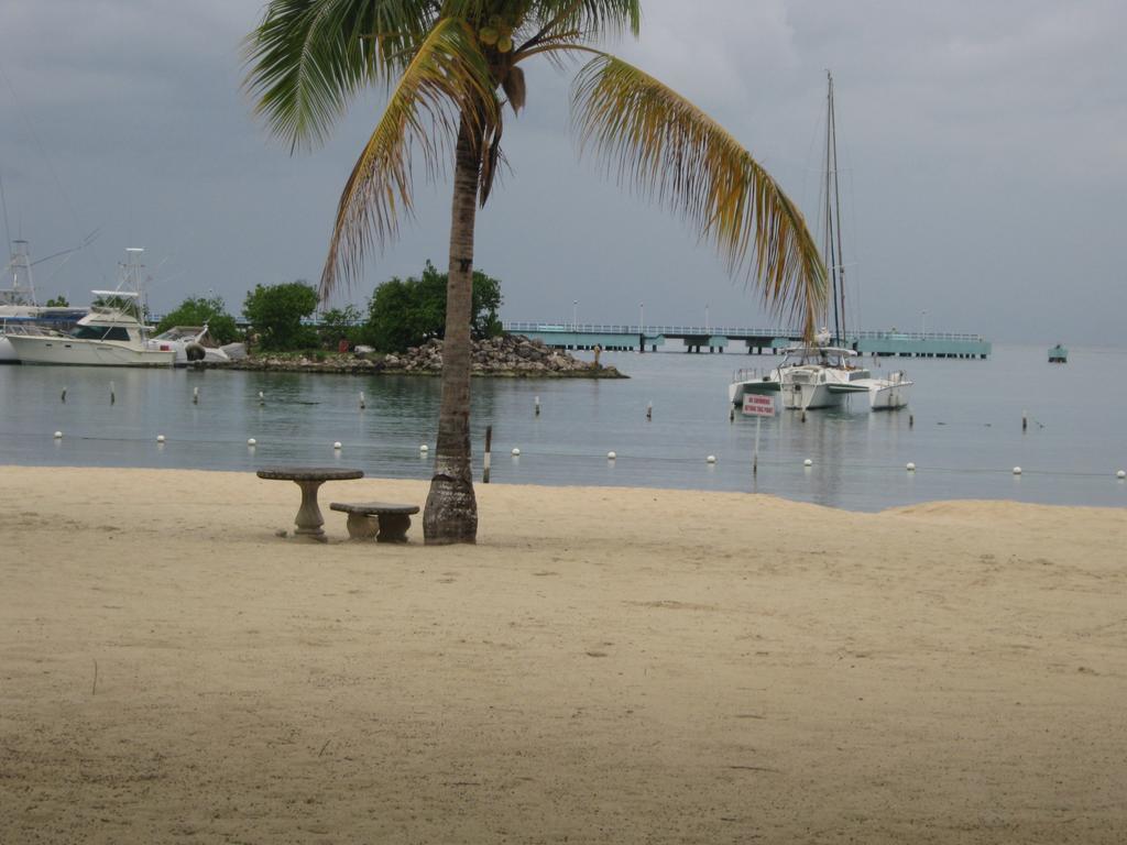 Marchabell By The Sea E22 Leilighet Ocho Rios Rom bilde